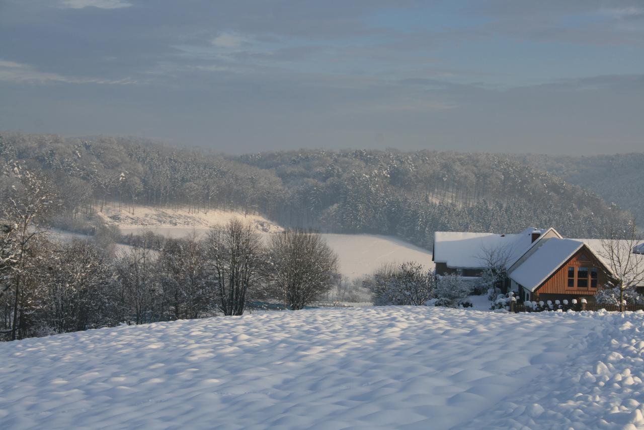 Sonnenhaus Grandl Apartment Feldbach  Bagian luar foto